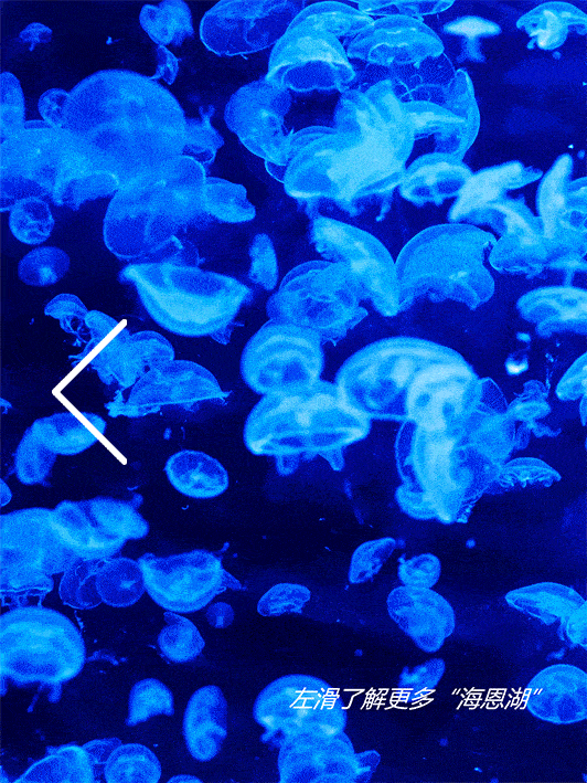 532_709 竖版 竖屏