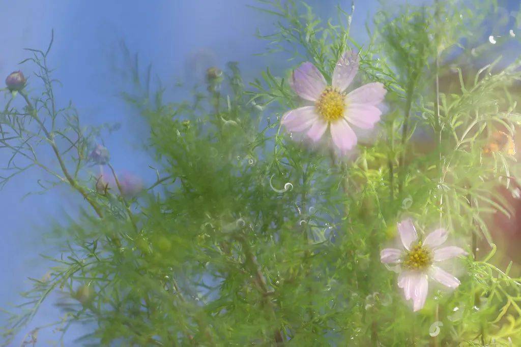 331739f305a849168d7c1f695b049a94.jpeg