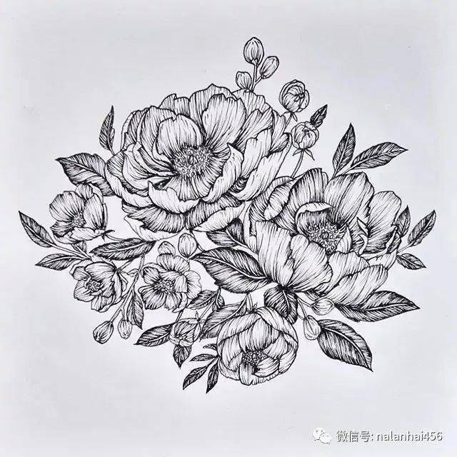 手绘的效果非常的出彩 线条清晰,流畅,果敢 疏密得当,黑白灰韵律感