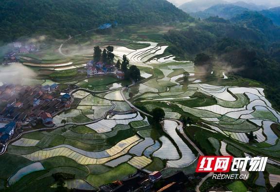 水寨大布村人口_新密市良水寨村(2)