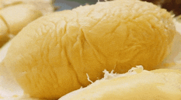 新鲜榴莲推荐 9afe8e82d0f34f58a9ddea3d49e8b7f2.gif