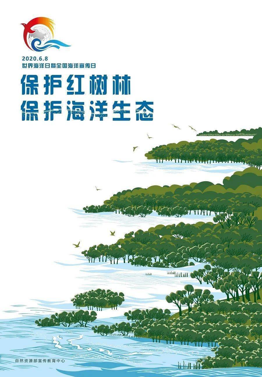 关爱海洋 保护生态
