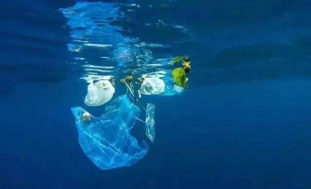 海洋和海洋生物开始遭受史无前例的危害 马里亚纳海沟是地球海洋的最