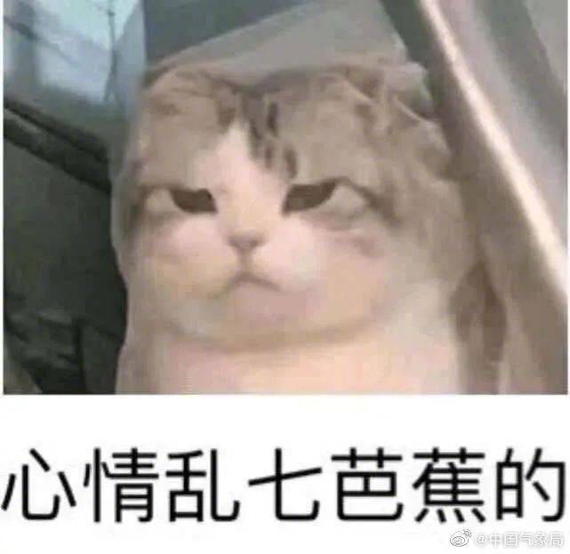 降水|高温、持续性降水齐发