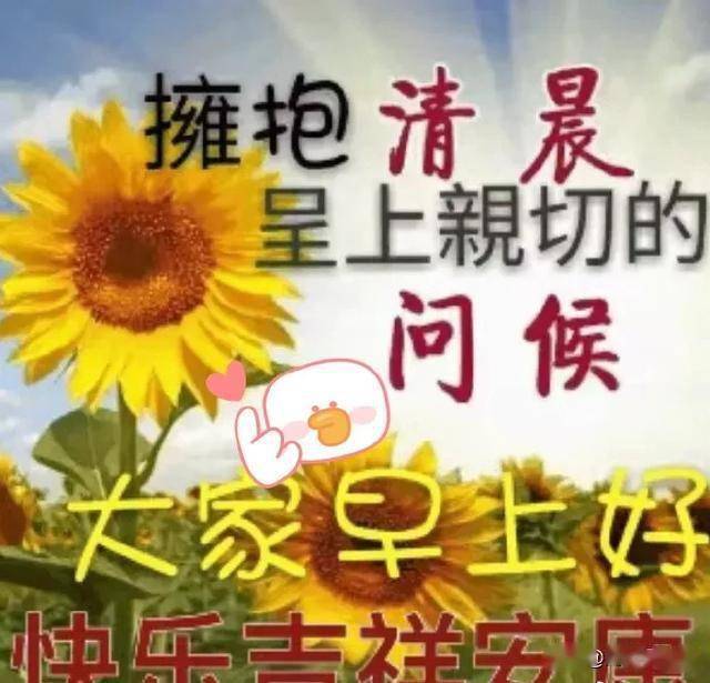 天津话向日葵怎么说