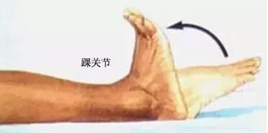 56a007fd75b242c0a8006d3c3cb8e6c0.jpeg
