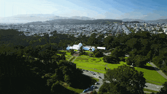 560_314gif 动态图 动图