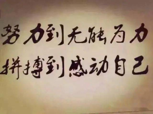 7f8b23b96ff2472290a9234e427ff5a2.jpeg