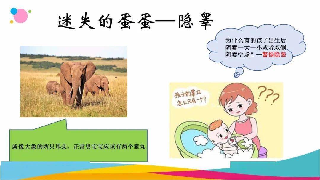 【唯爱儿科行 · 科普月月讲】儿童隐睾——迷失的"蛋蛋"