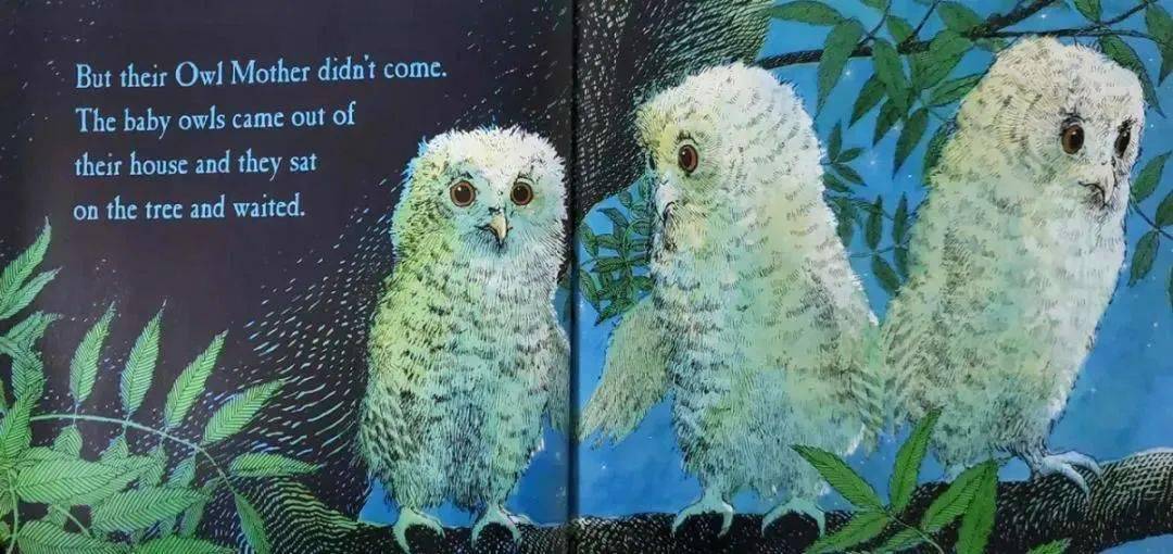【有声绘本故事】《owl babies》猫头鹰宝宝