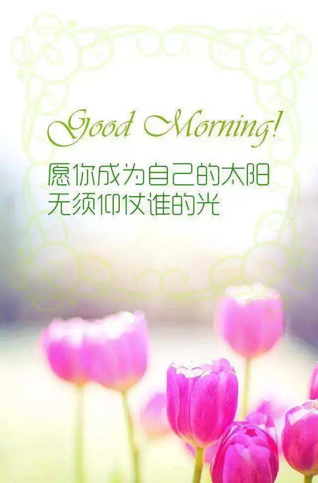 c7d74c8cc5a74f83a5549fd0378a618a.jpeg