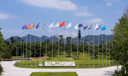 两江新区2020一季度G_两江新区老约翰书店