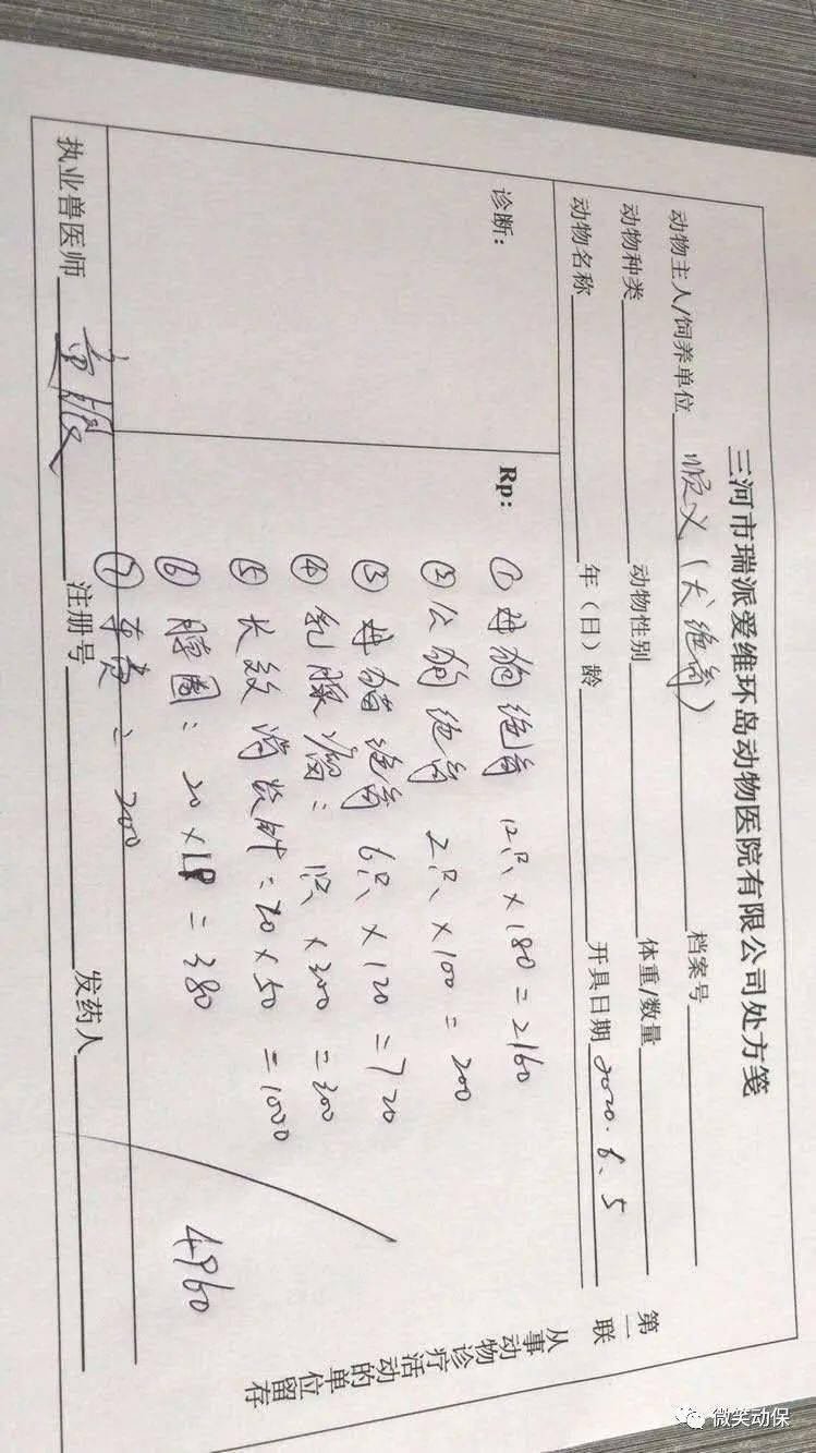 母猫简谱_儿歌简谱(3)