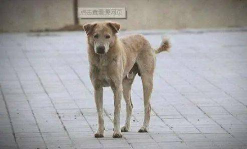 4ffe00b6e31640d3aa5601e2f0b0f26a.jpeg