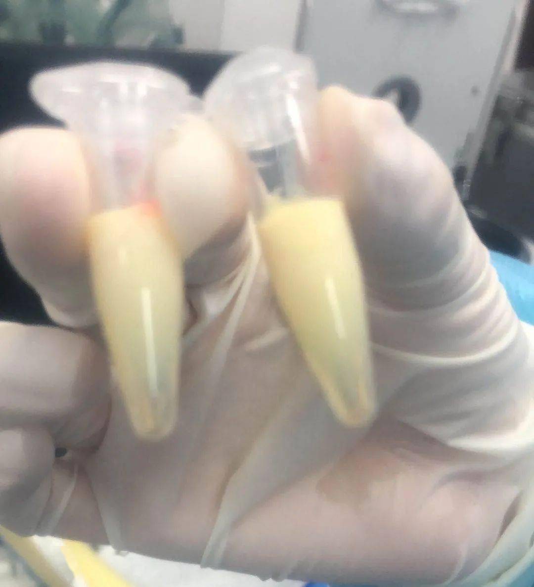 c3c9454fe8424a1a9254399feb33ecf0.jpeg