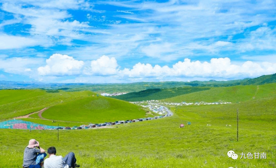 把夏天,留给甘南!_草原