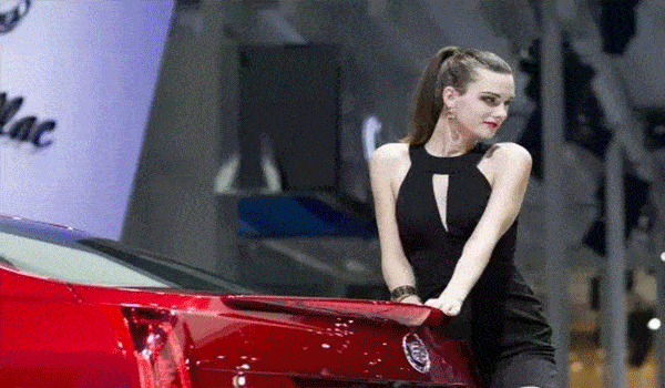 百款车型任您挑 上百款热门车型,车展现场无一缺席 更有多款新车在