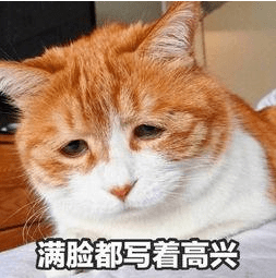 7bb4943fbc1c4574a28b318f21b73f0e.png