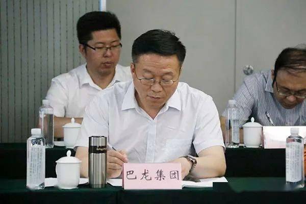 巴龙董事长_迪丽热巴龙须刘海(2)