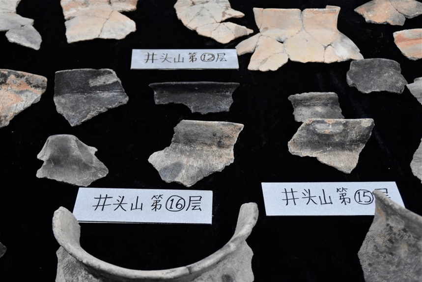 井头山遗址发掘的距今8000年左右的陶片.郑梦雨 摄