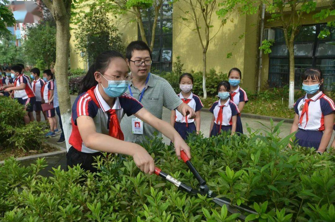 【点赞"第二课堂"花样多,荣昌各义务教育学校这样开展劳动教育