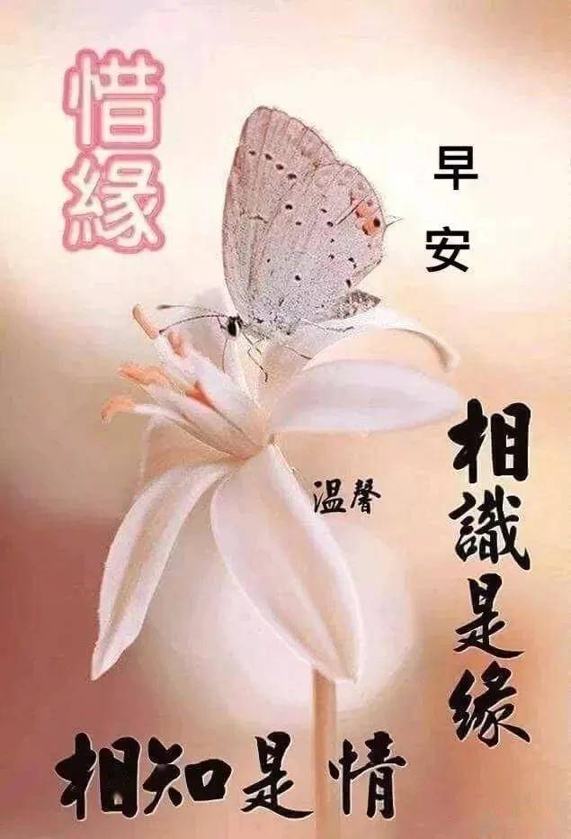 人生就像一杯茶,不会苦一辈子,但总会苦一阵子.早安