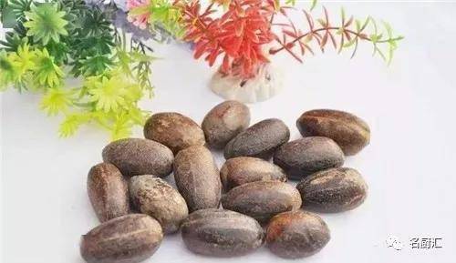 去腥的香茅草 ffb4a8e91d7043e0a74aa7701eb469e3.jpeg