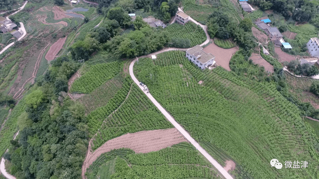 保宁村巧打绿色经济牌鼓起群众钱口袋