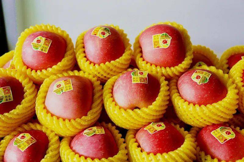 开业用什么水果好 2fe3a122ffb94994b5a72438769a6b87.jpeg