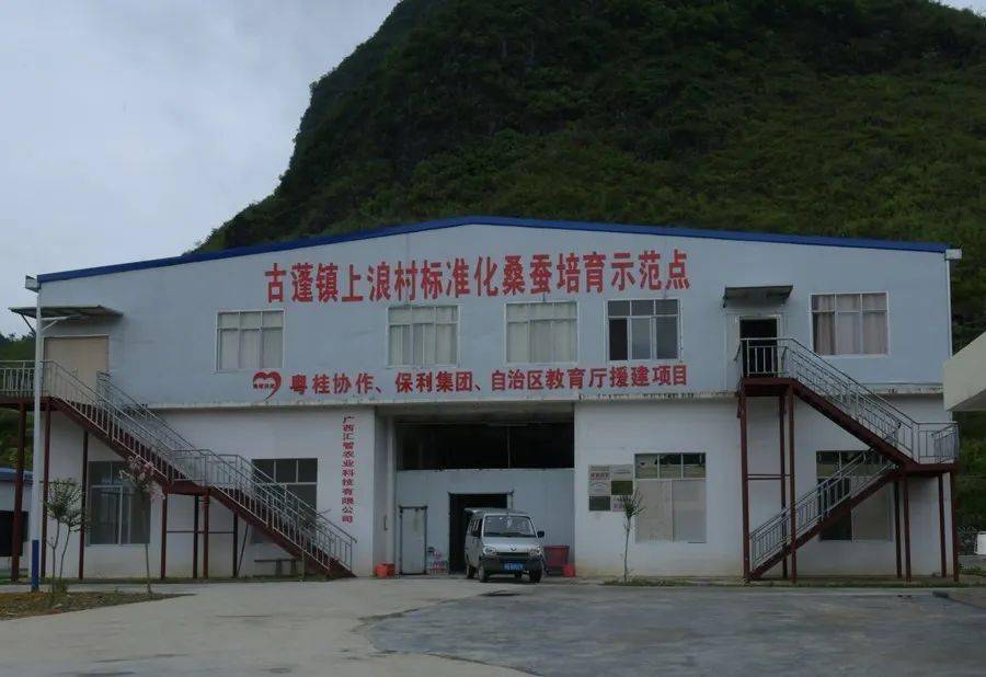 这是上浪村标准化桑蚕培育示范点的亮点 忻城县古蓬镇上浪村桑蚕培育