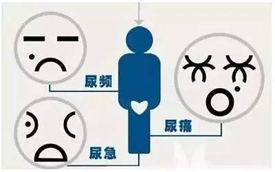 男性不育   尿痛,尿频,尿不尽,小便异常是什么原因引鸬的?