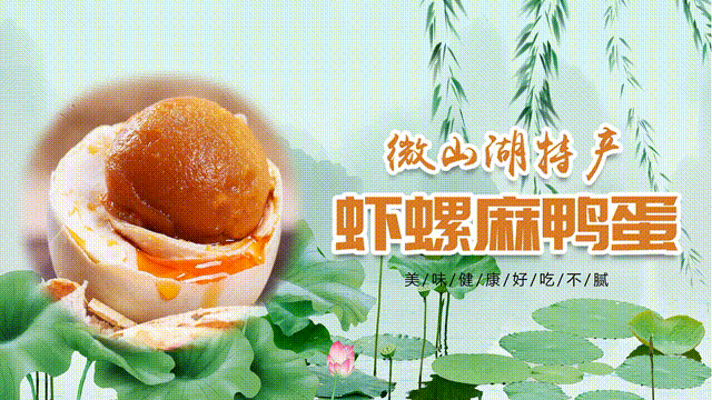精挑细选 名产名优 来自铁道游击队故乡的湖产美味 麻鸭以鱼,虾,田螺