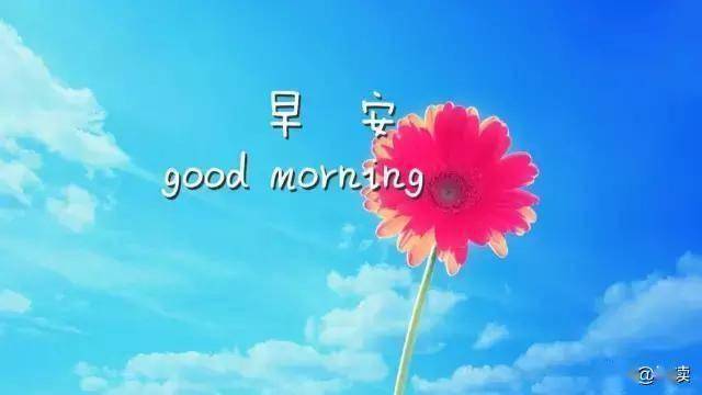 ef96f5687be64f8a97a04119678609c8.jpeg