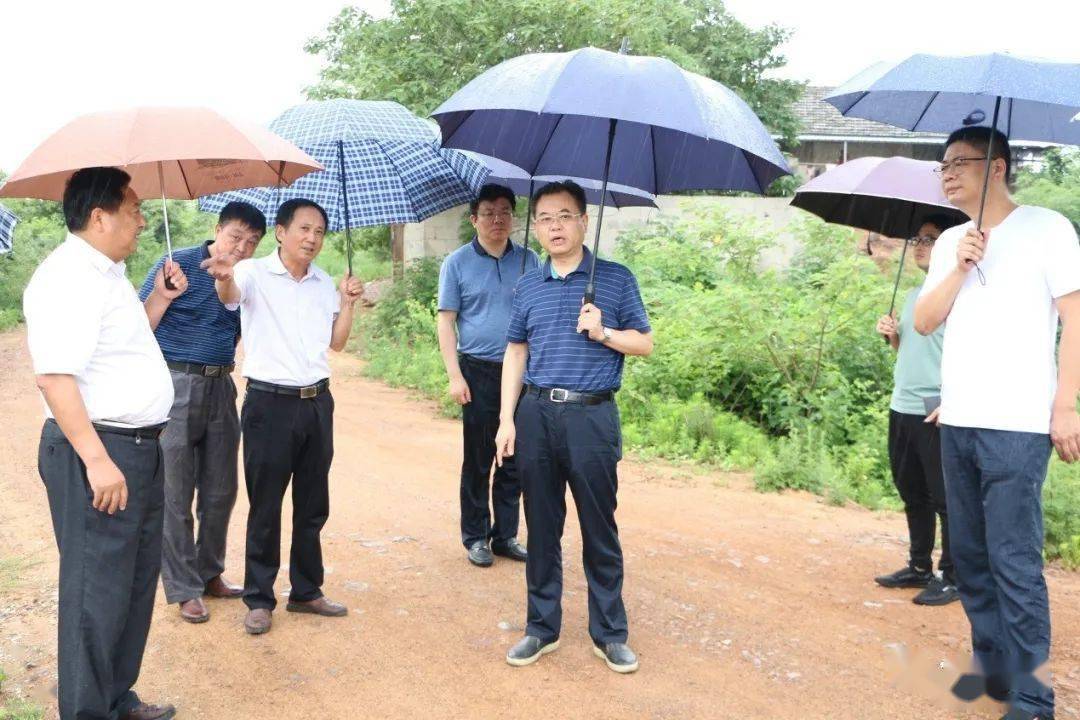 贵池区人民政府发布) 6月10日,区委书记,平天湖风景区党工委书记高峰