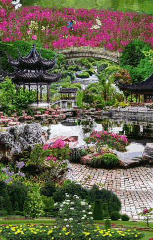 309_486 竖版 竖屏