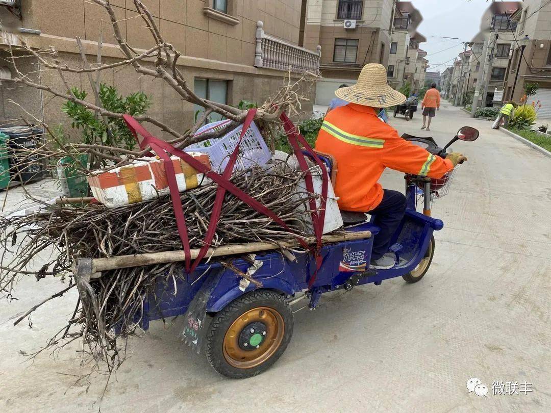 联丰村人口_湖口大龙乡联丰村