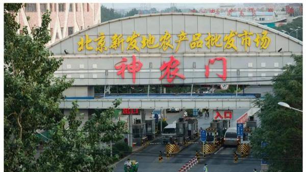 分析|北京新增确诊病例6例！张文宏发微博分析本土病例