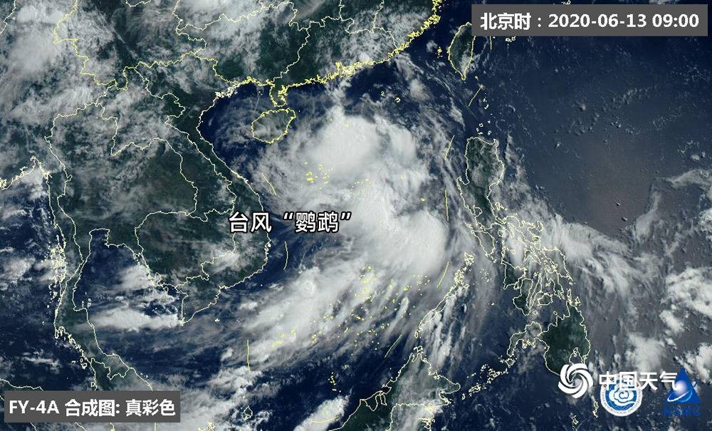 部门|受台风“鹦鹉”影响 海南琼州海峡全线停航