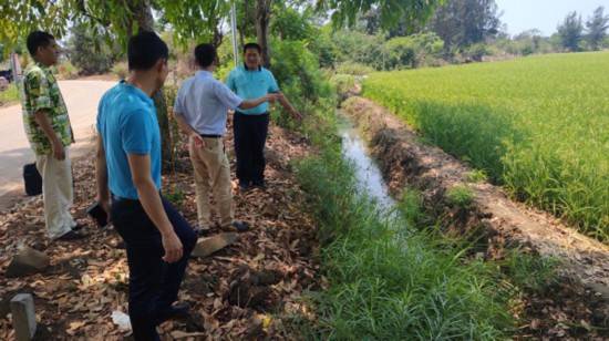 农村|海南临高新盈镇：投入5000多万元推动农村基础设施建设