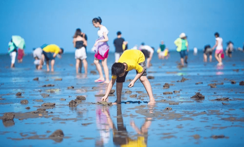什么时候来北海最合适 3d4d4024e113422b94d3840c7f2d06c9.png