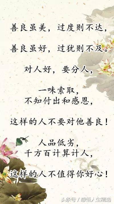 别把善良给错了人