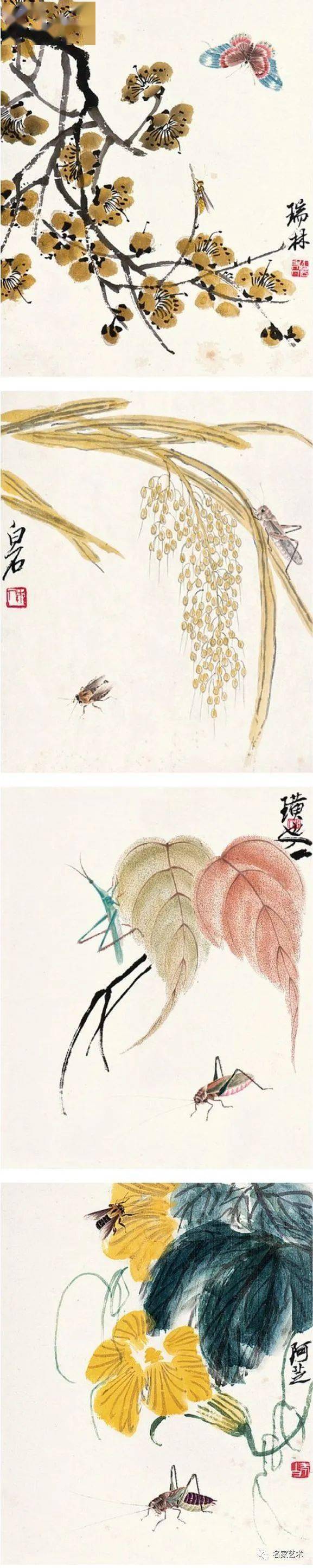 【名品视界】齐白石《可惜无声·花鸟工虫册》