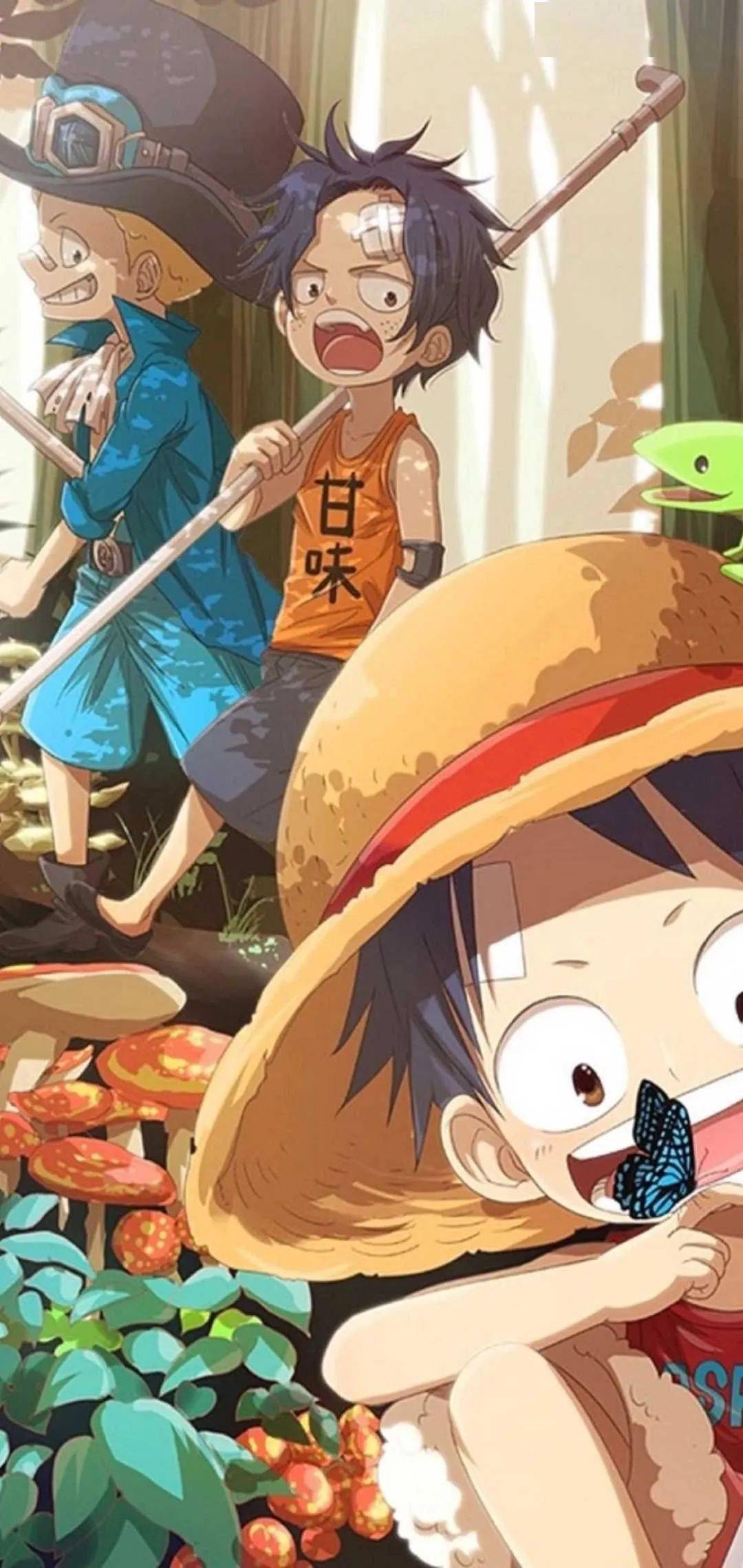 动漫壁纸 | 海贼王