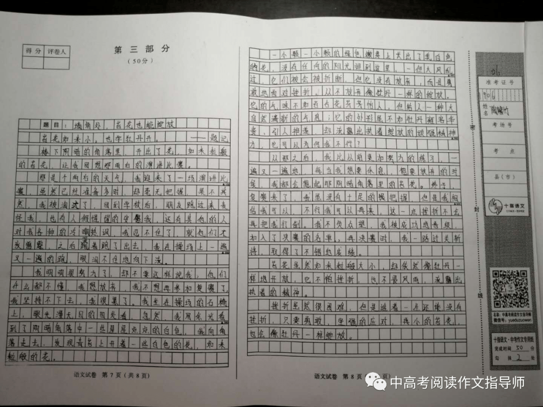 什么是真正的勇敢作文 c3177e21cdba404cbd60ae3fde835df7.png