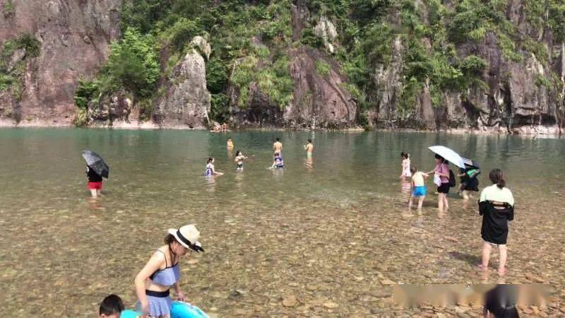 东魁杨梅季6月21日星期天仙居东魁杨梅采摘淡竹嬉水活动