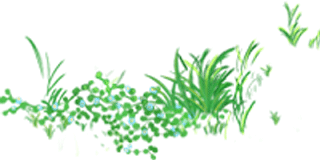 校友|共谱佳话：校友深情撰联，书记挥毫赠墨同抒心怀
