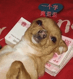 送你几个笑话,小心笑破肚皮!太逗了