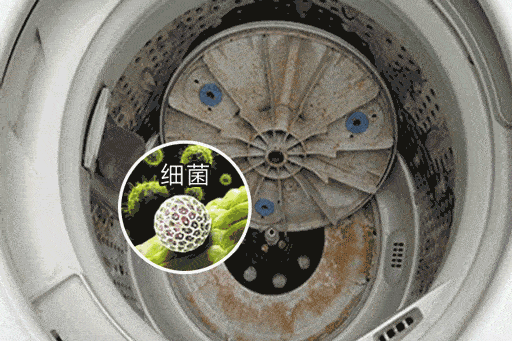 一年没洗的洗衣机有多可怕?