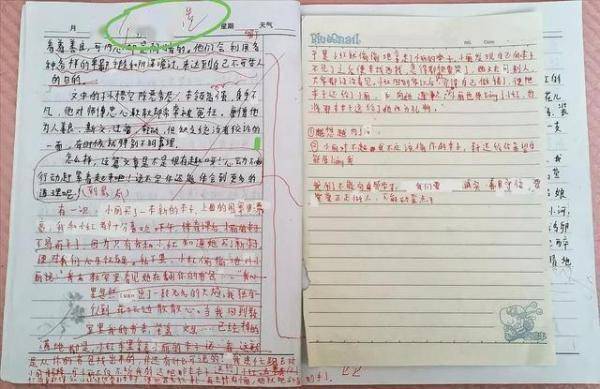 常州小学生课后坠亡：涉事老师称作文修改符号是学生自己划的