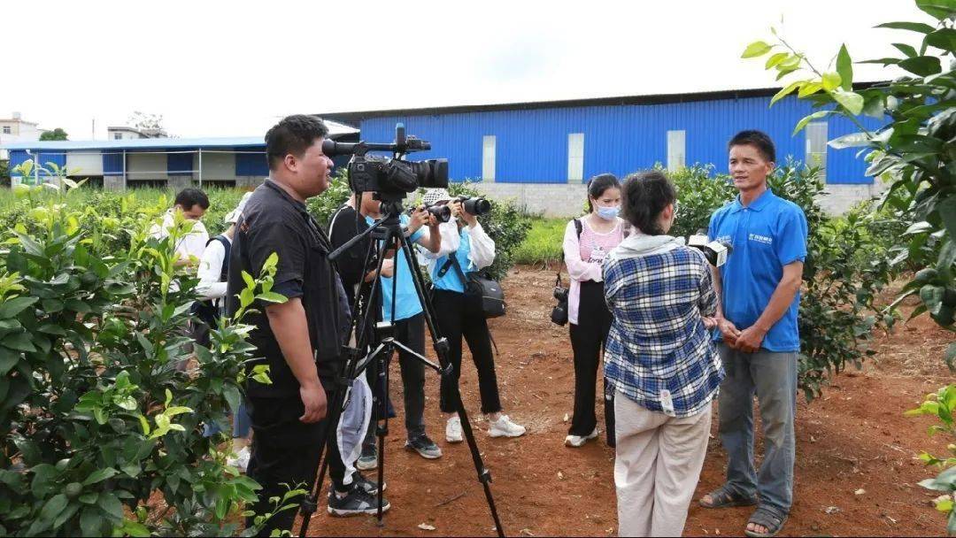 由自治区媒体驻崇左站,左江日报社,崇左广播电视台,江州区融媒体中心